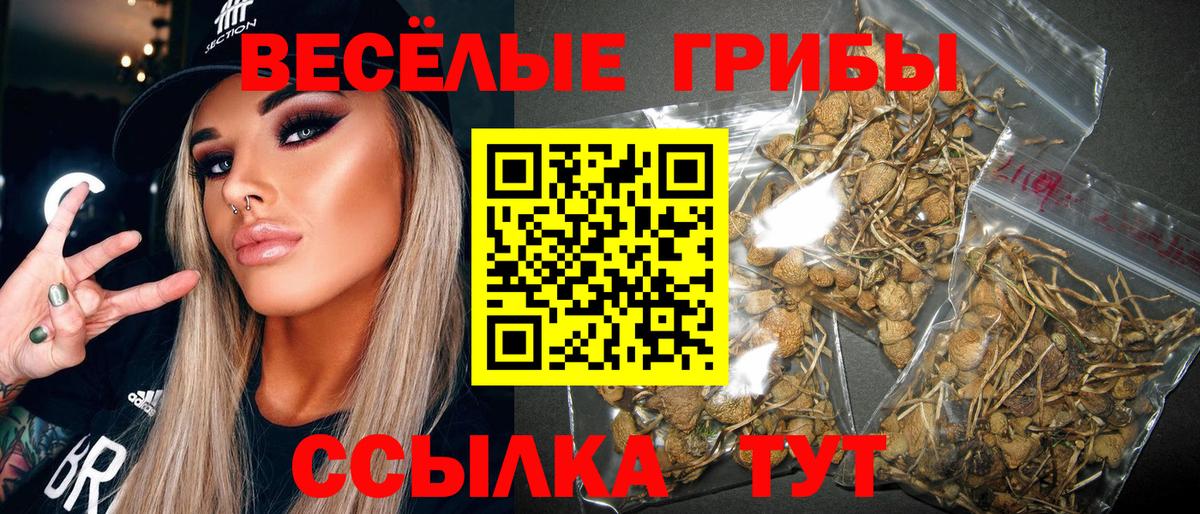 Ульяновск  Псилоцибиновые грибы мицелий  Вход с VPN 